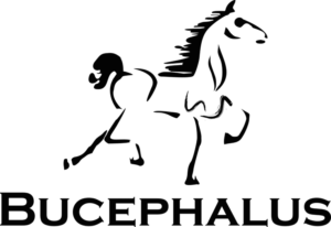 Bucephalus Web Development logo