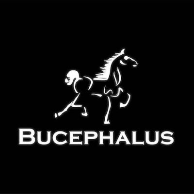 Bucephalus Web Development
